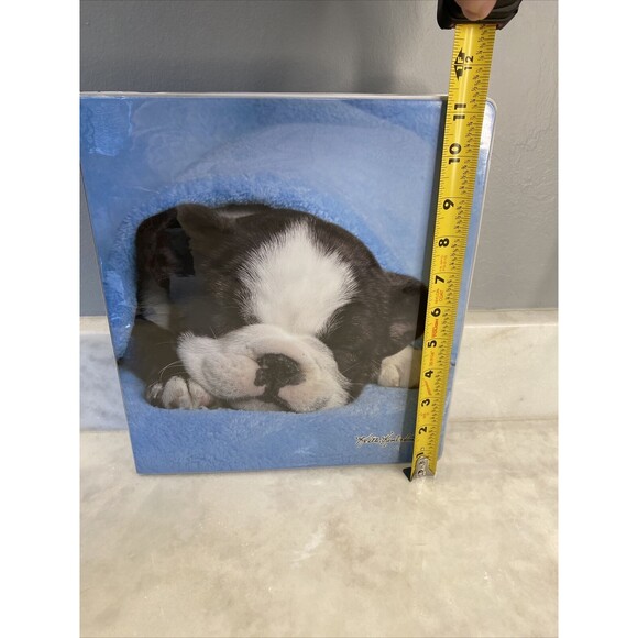 Class Act Keith Kimberlin  Binder- Boxer Puppies - Picture 8 of 8